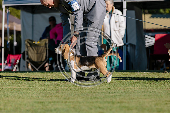 014-BCQ2-show1-