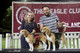 2026 - The Beagle Club of QLD Open Show