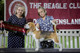 2026 - The Beagle Club of QLD Open Show