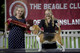 2026 - The Beagle Club of QLD Open Show