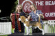 2026 - The Beagle Club of QLD Open Show