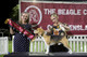 2026 - The Beagle Club of QLD Open Show