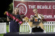 2026 - The Beagle Club of QLD Open Show