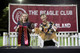 2026 - The Beagle Club of QLD Open Show