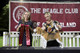 2026 - The Beagle Club of QLD Open Show