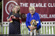 2026 - The Beagle Club of QLD Open Show