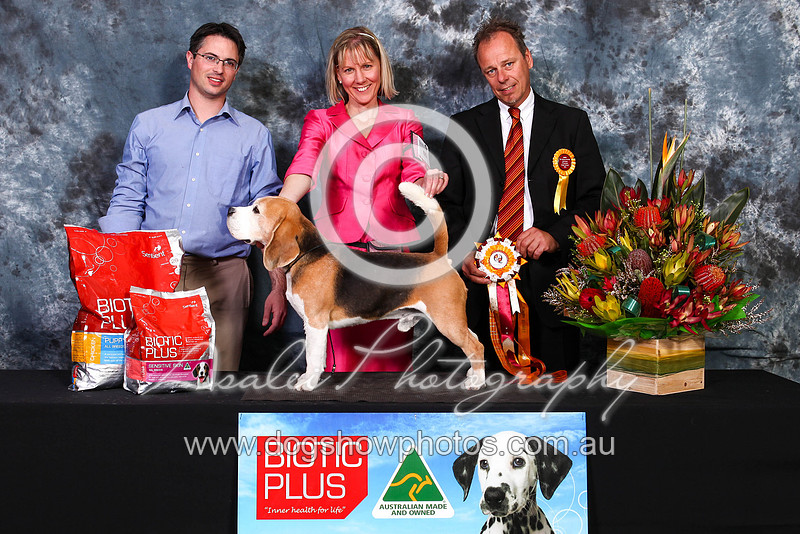 Ruby Rouland Dog Show Photos